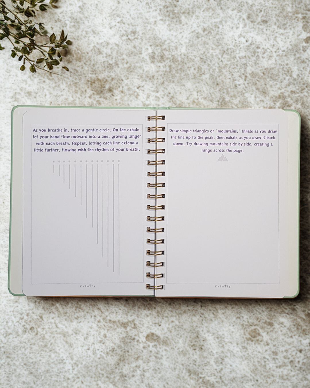 Kalmify Journal